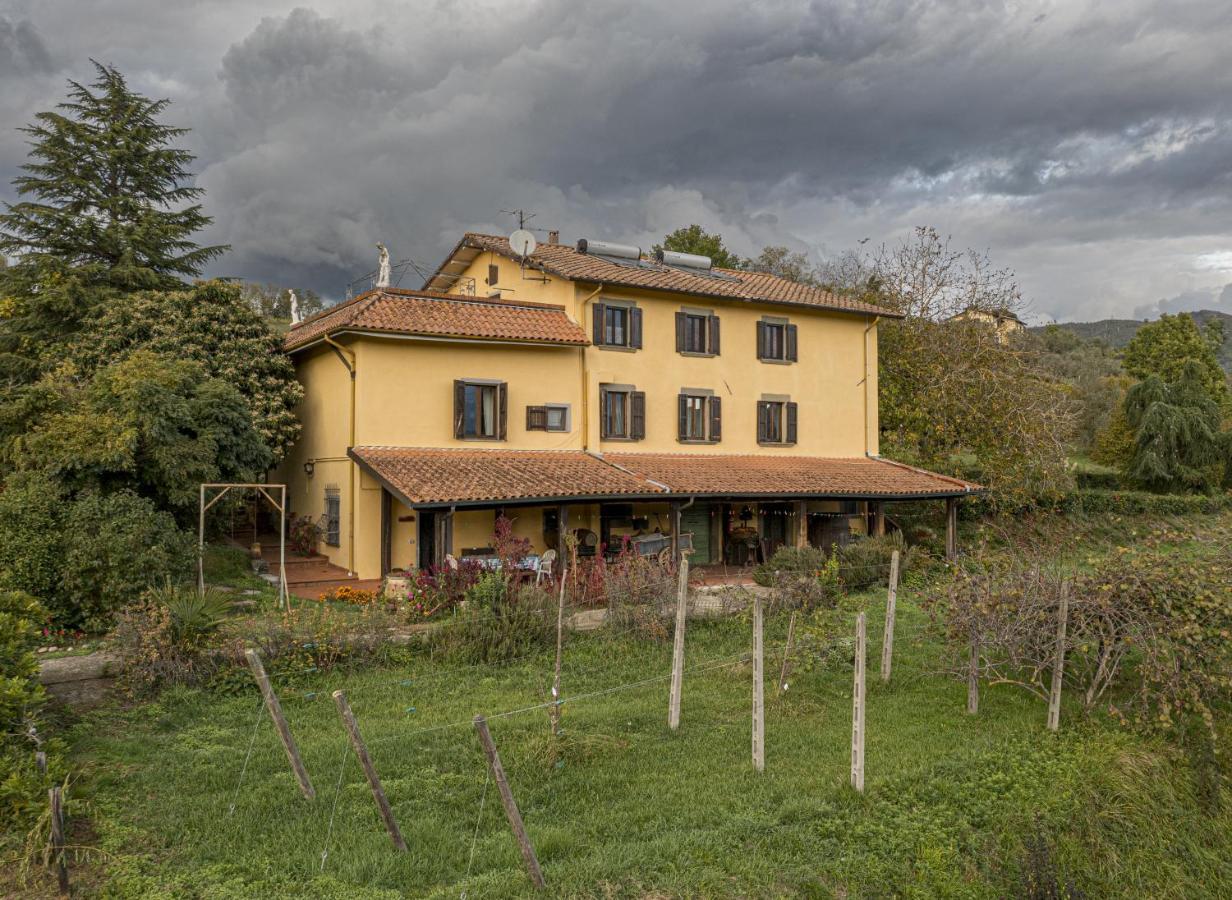 Agriturismo Il Bardellino ฟิวิซซาโน ภายนอก รูปภาพ