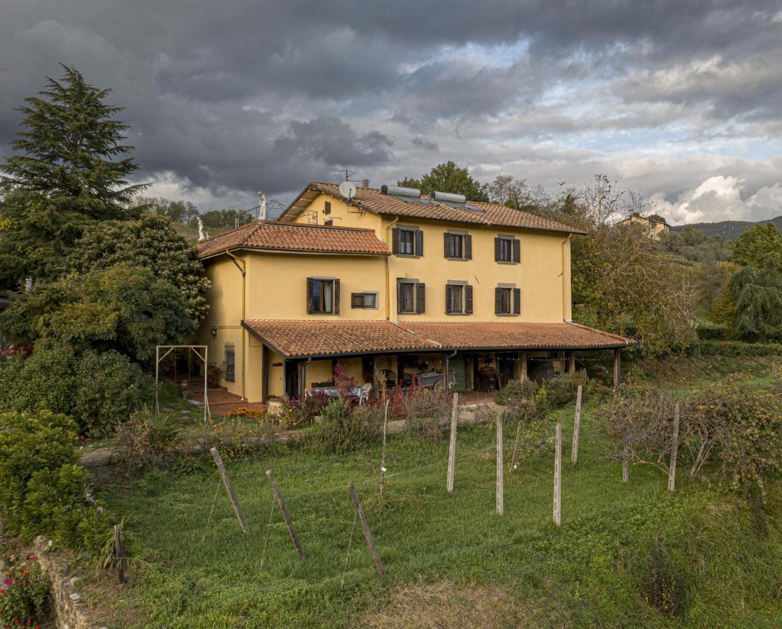 Agriturismo Il Bardellino ฟิวิซซาโน ภายนอก รูปภาพ