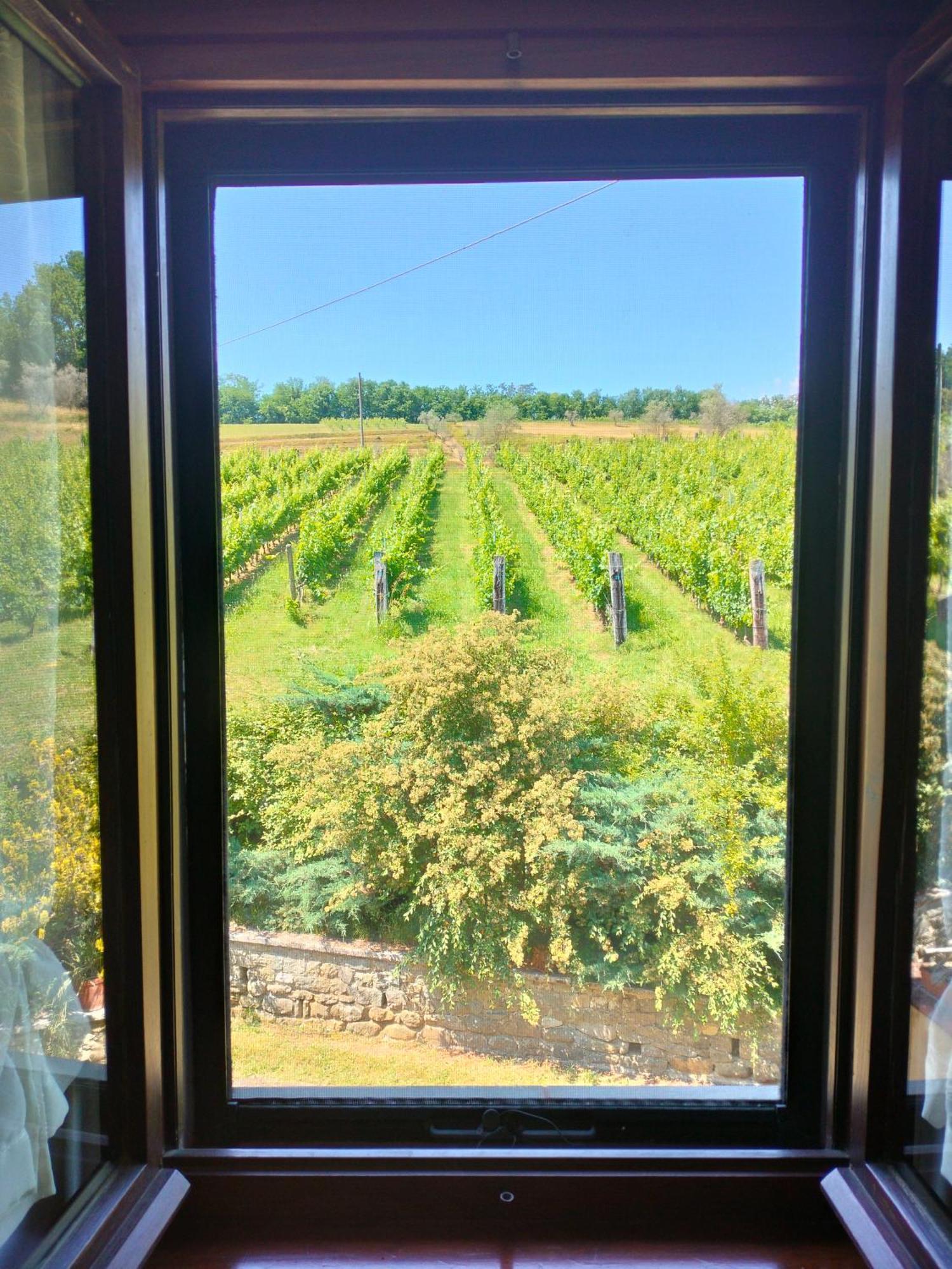 Agriturismo Il Bardellino ฟิวิซซาโน ภายนอก รูปภาพ
