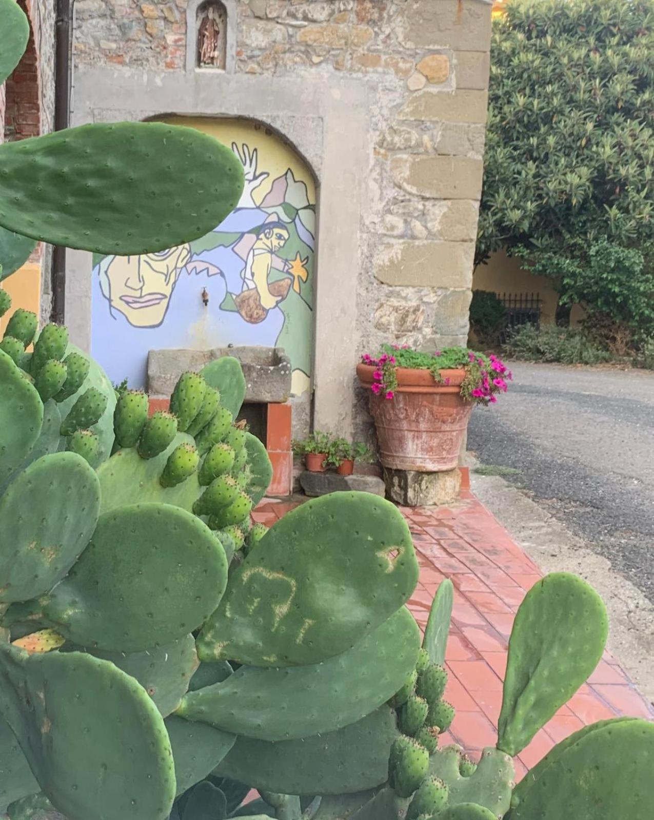Agriturismo Il Bardellino ฟิวิซซาโน ภายนอก รูปภาพ
