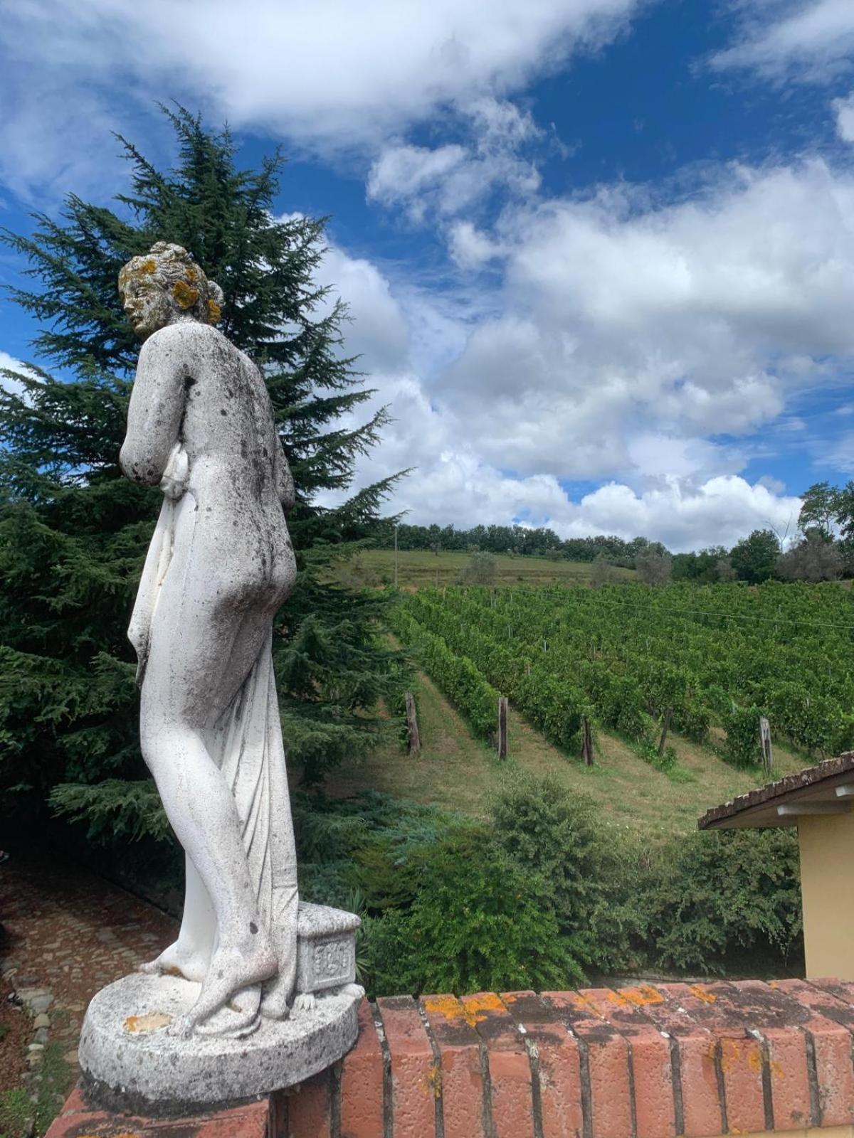 Agriturismo Il Bardellino ฟิวิซซาโน ภายนอก รูปภาพ